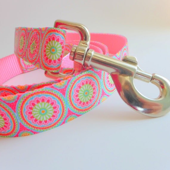 Items similar to Spring Colors Dog Leash Matching Dog Lead for Pretty