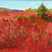 STUDIO EVENT! Maine Blueberry Barrens, small, expressive, oil painting. Autumn 4"X5" canvas, RED landscape by Adrienne Kernan La Vallee