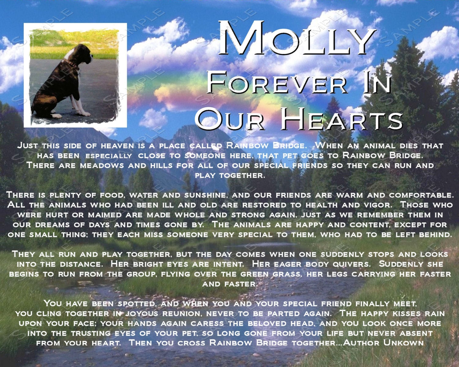 PERSONALIZED Pet Memorial Rainbow Bridge Pet by rainbowbridgepoem