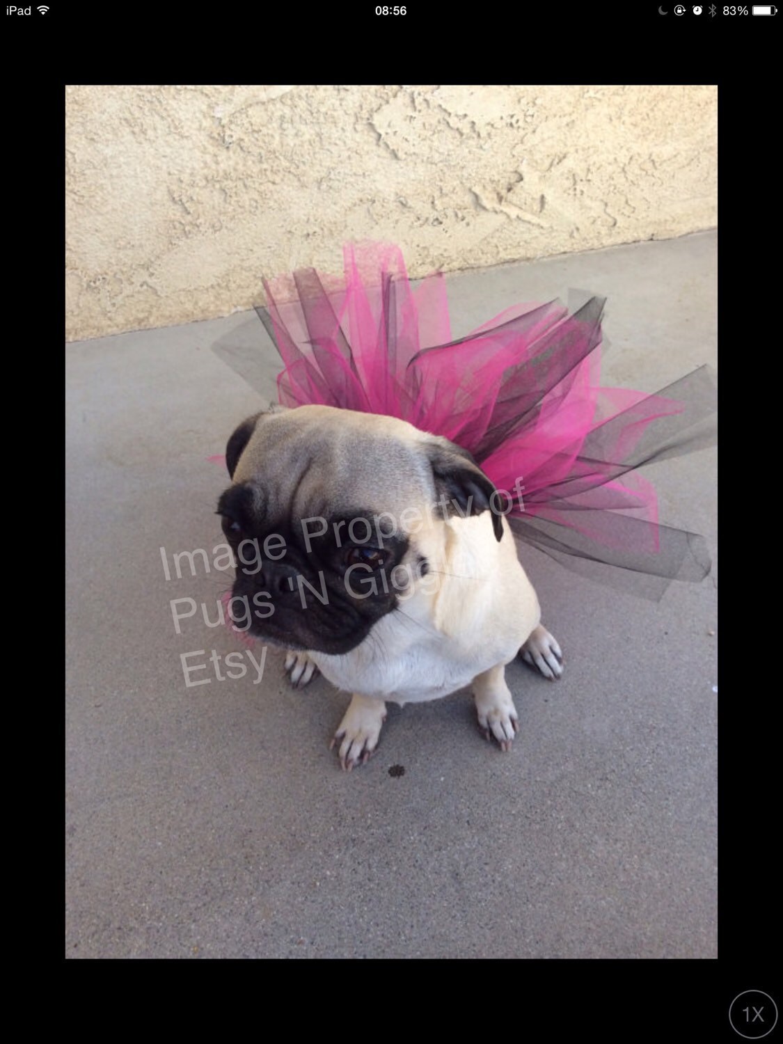PugsPink TutuDog TutuTutus for DogsPug ClothingDresses