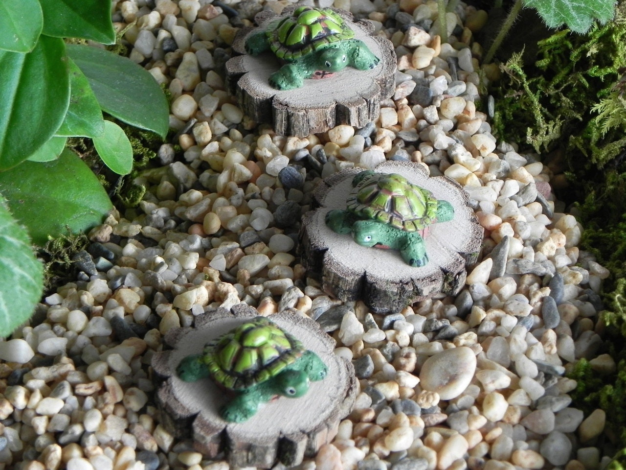 ONE Miniature Fairy Garden Turtle accessories for terrarium