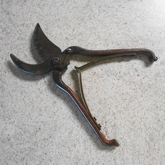 Vintage Pruning Shears Pruner Chippy Orange by MissIvyVintage