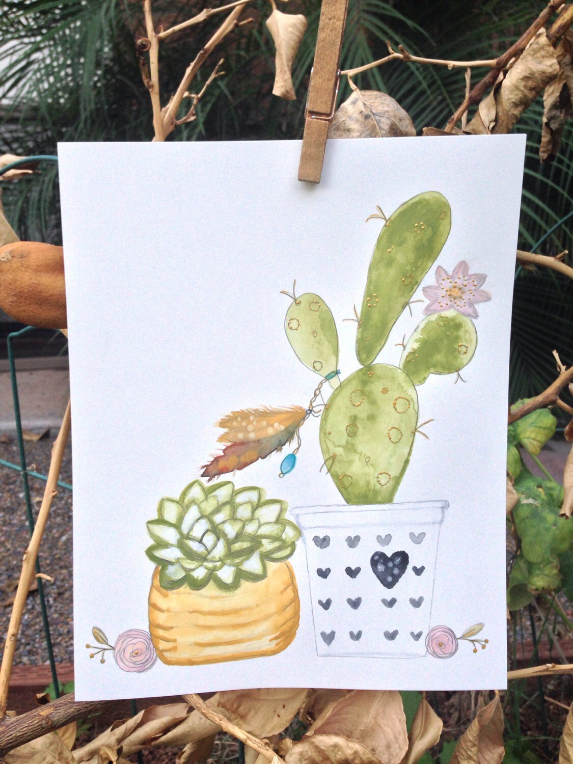 Cactus and Succulent Art Arizona Art by AmberMichelleFineArt