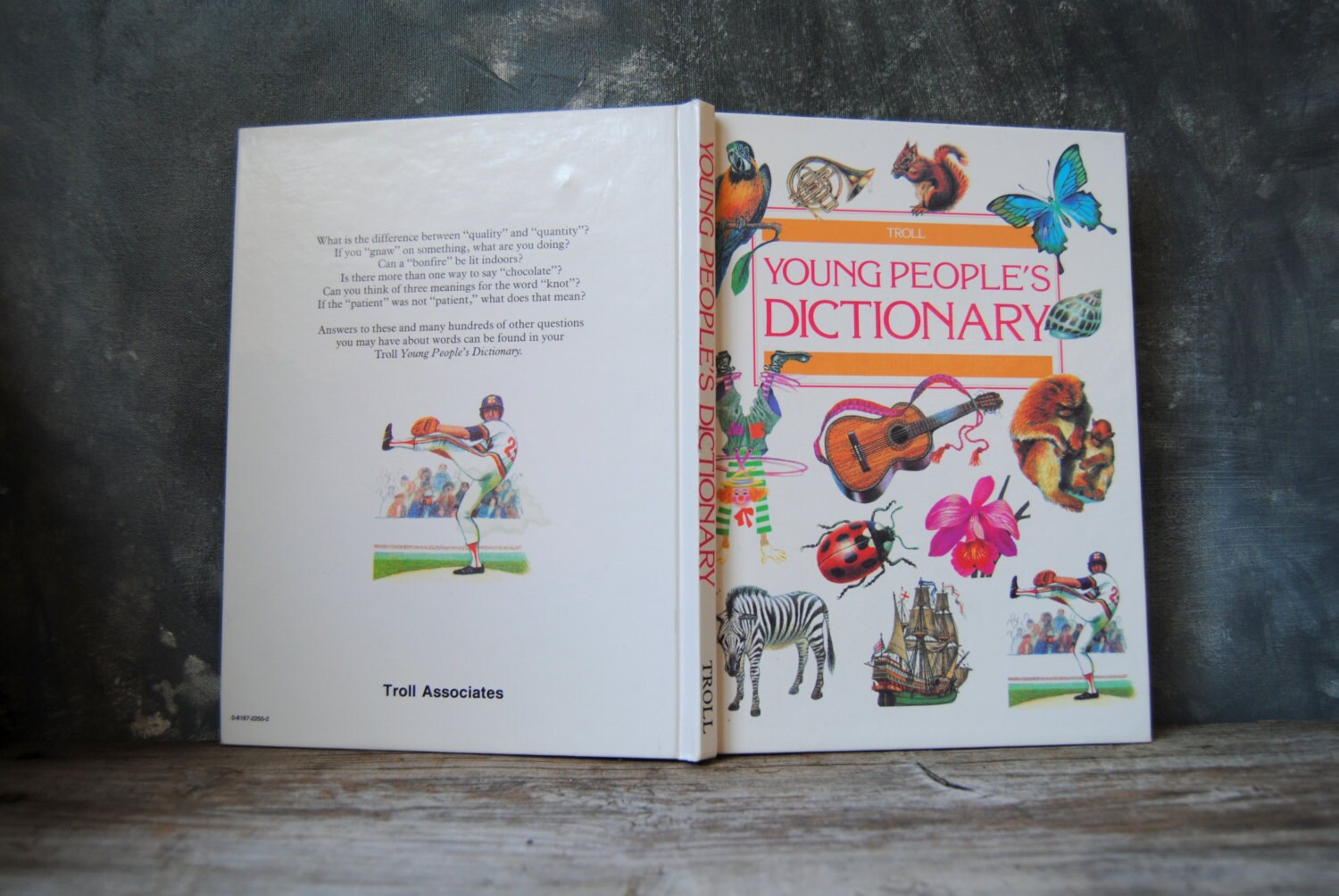 Primary Dictionary Illustrated Dictionary Young