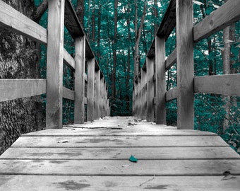 Teal Gray Wall Art Photography, Forest Trees, Bridge, Teal Home Decor Wall Art Matted Picture