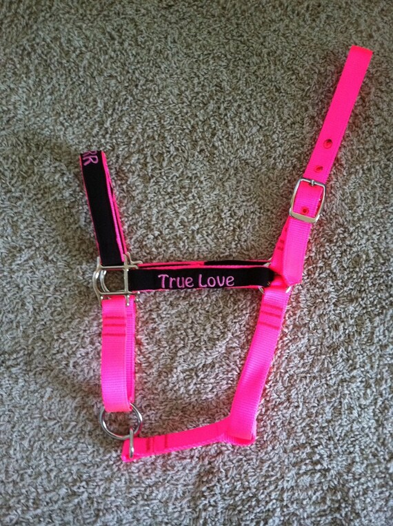 Custom Personalized Horse Halter Monogrammed by
