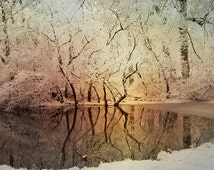 , Michigan Phot o, Michigan, Grand Rapids Winter, Winter Pond, White ...