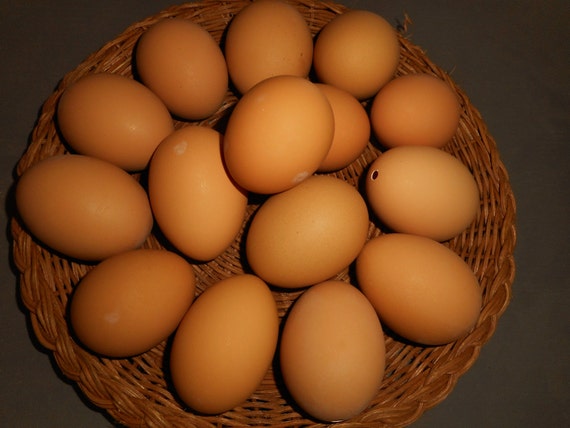 Bakers Dozen plus 3 Blown chicken eggs = 15 brown shades of one hole chicken eggs - il_570xN.710178931_5wwc