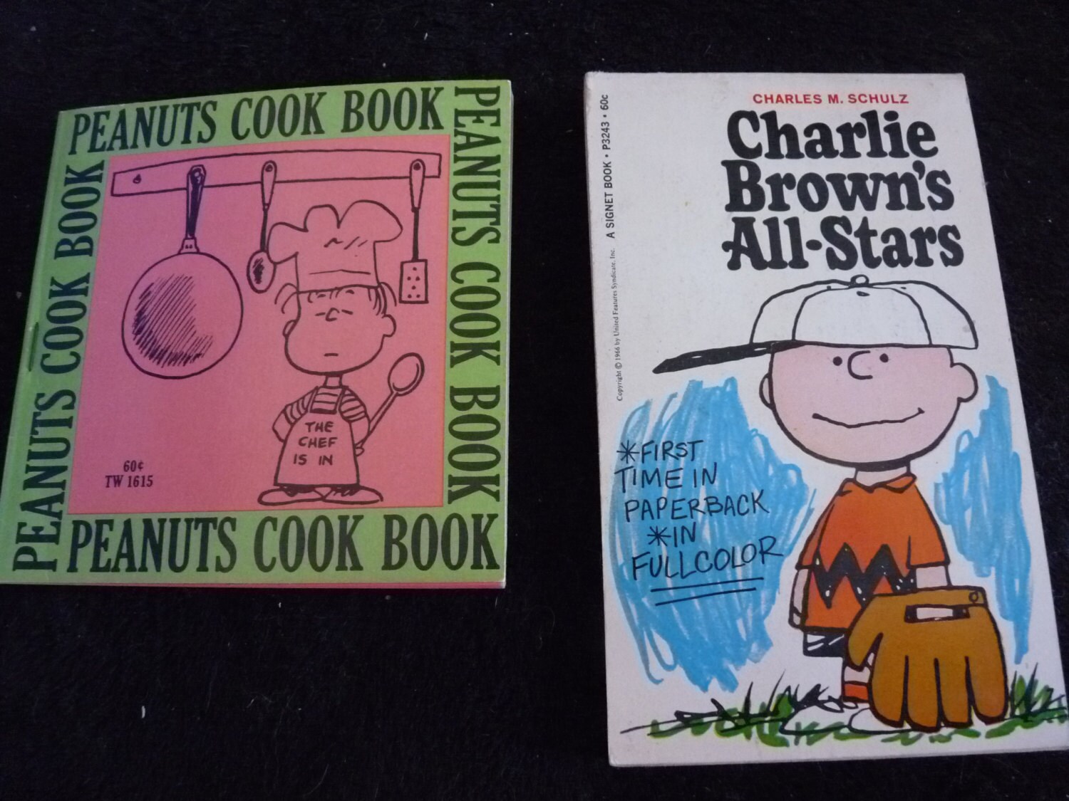 RARE LIKE NEW Peanuts Cook Book and Charlie by LabArcDesigns