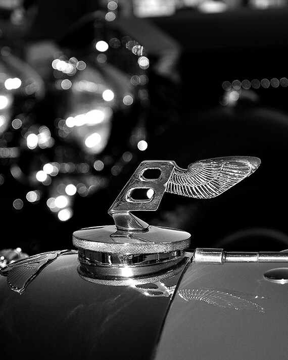 Bentley Hood Ornament Detail
