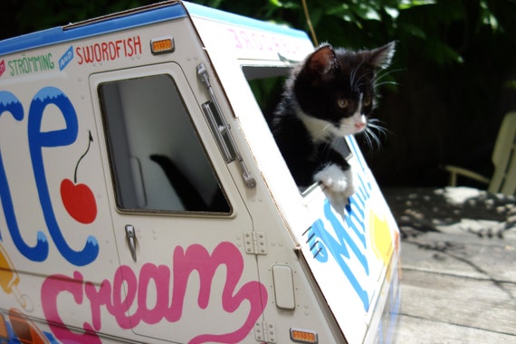 Ice Cream Truck for Cats!