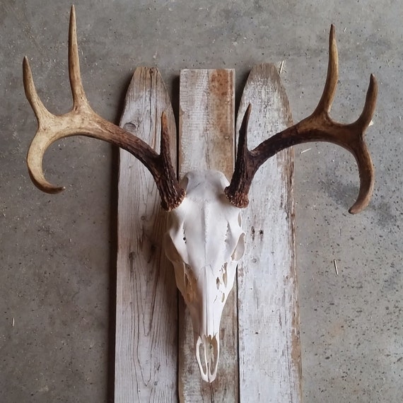 Custom Deer Mount Made from Reclaimed Wood From Old by Shelf143