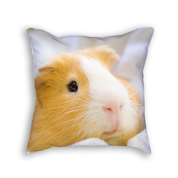 Cute guinea pig throw pillow. 18x18 inches by ClearframeGallery