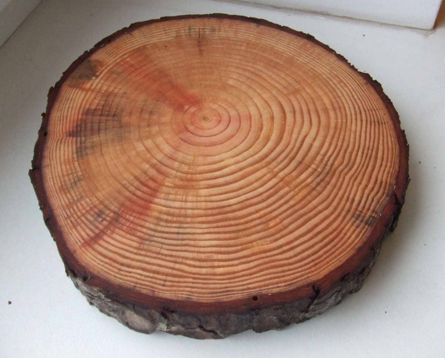 Wood circle 1 pcs Round wooden coaster Tree slice Wood