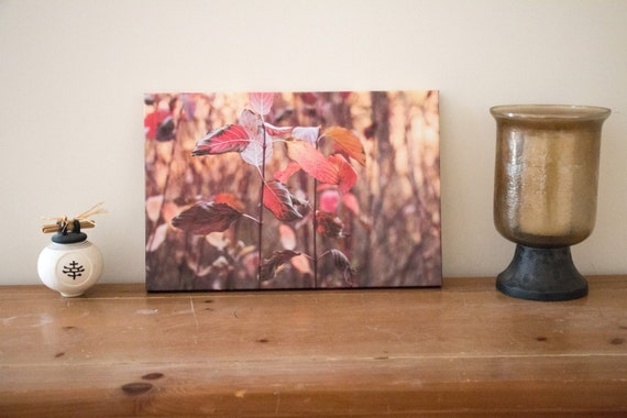 Items similar to Nature Print Canvas-Nature Photography Home Decor