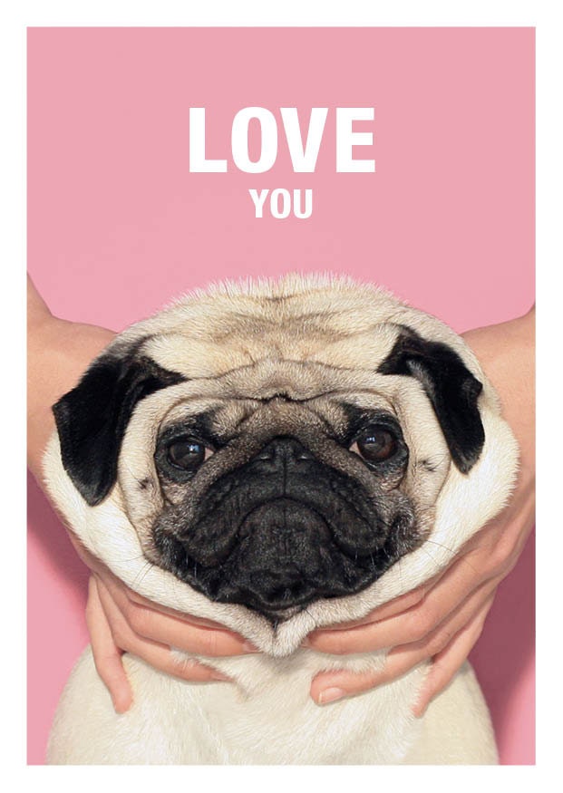 Set of 4 Loulou the Pug Greeting Cards