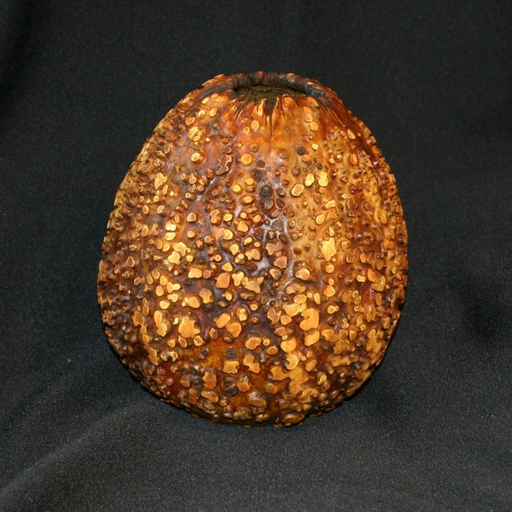 Carved Warty Gourd