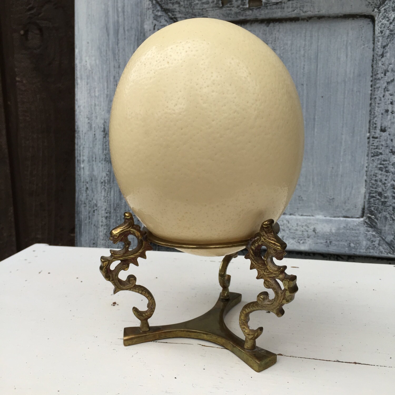 Ostrich Egg on Brass Stand Beautiful Big Ostrich by Pincapallina