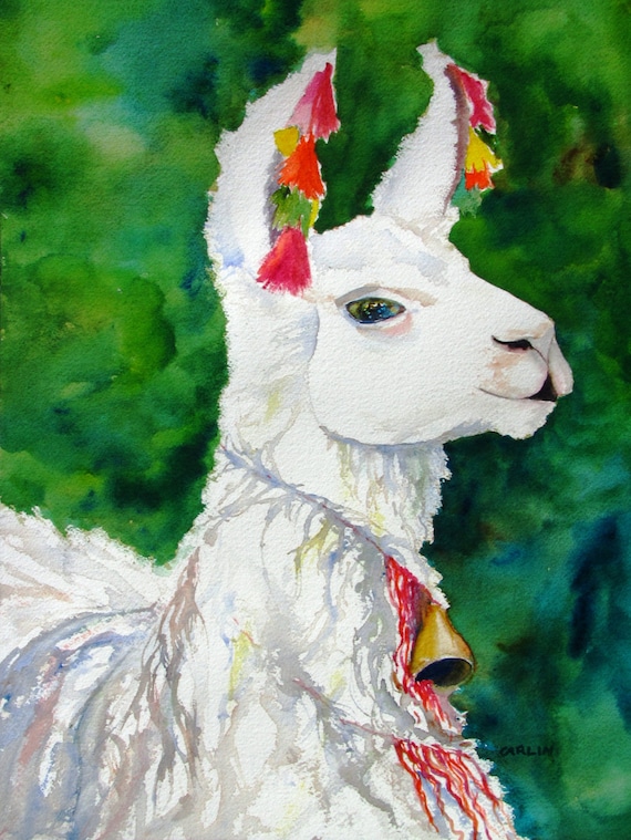 Original Watercolor Painting White Alpaca by CarlinArtWatercolor