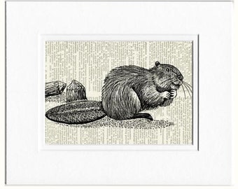 Beaver dictionary page print