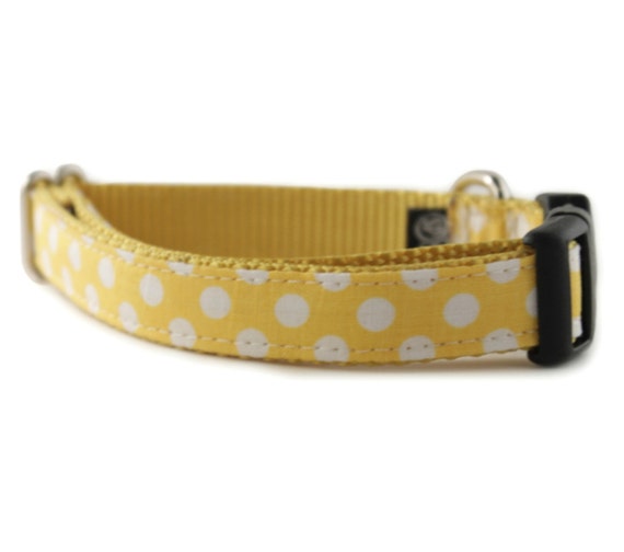 Yellow Dog Collar Yellow White Polka Dot Dog Collar Lemon