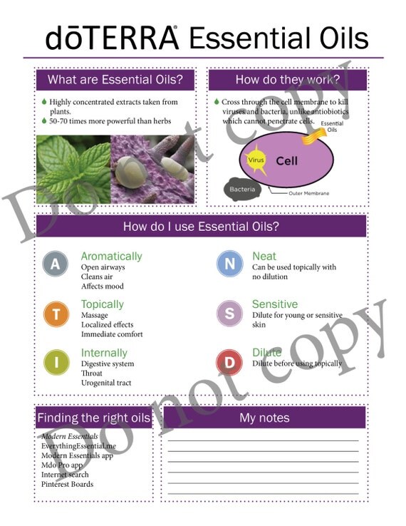 doTERRA Handout: Basics by McMillanDesign on Etsy