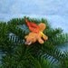 Xmas Platypus Ornament with Starburst Tush, Handmade Christmas Decoration