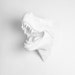 LAST CHANCE T Rex Head White Dinosaur Wall Mount, The Bronson, Resin T-Rex Head Wall Art White Faux Taxidermy, Dinosaur Head Jurassic Decor