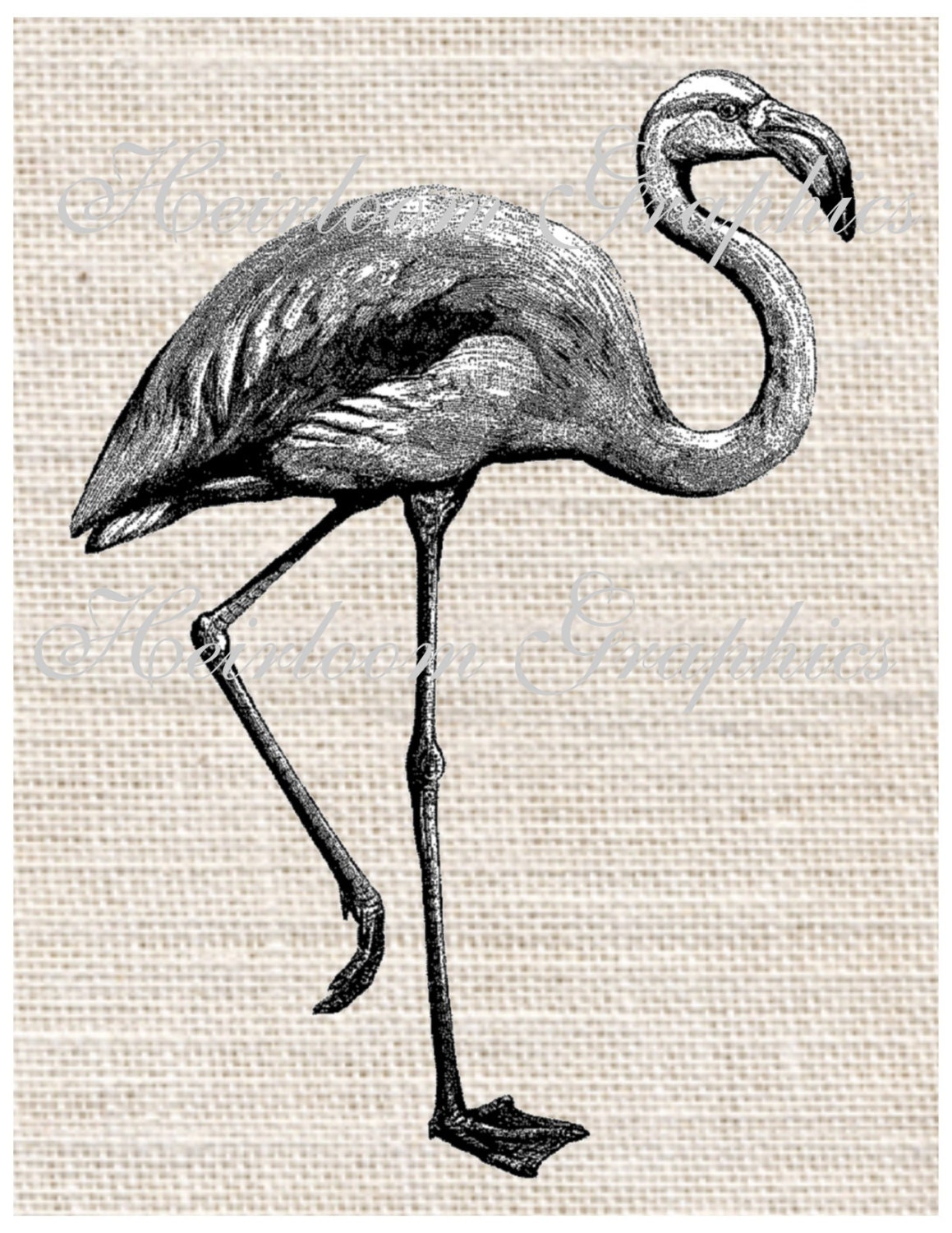 Flamingo Iron On Digital Transfer Vintage Flamingos Bird