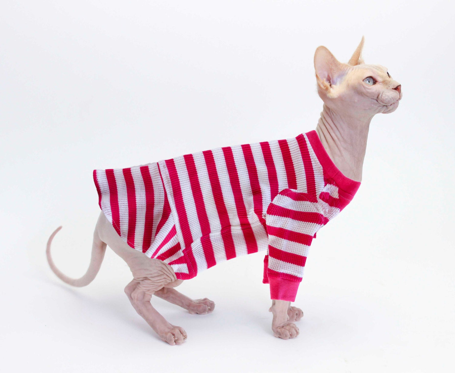 Sphynx Cat Clothes Thermal Dress Hot Pink Stripe Christmas Cat
