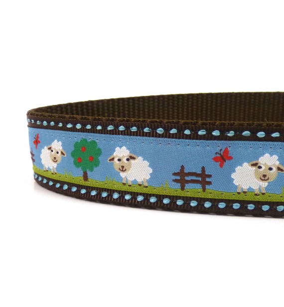 Blue dog agricultural casino