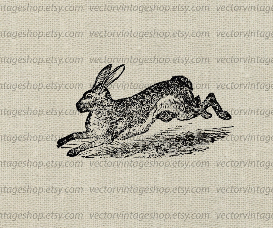 Download Vintage Bunny Vector Clip Art Easter Decor by ...