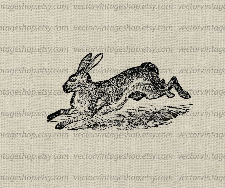 Free Free Vintage Bunny Svg 814 SVG PNG EPS DXF File