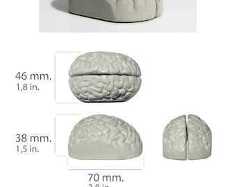 Giftbox containing eight concrete memo holders shaped like a brain