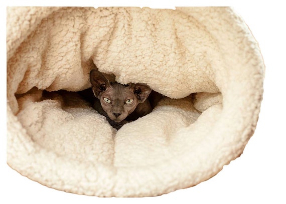 Cat cave cocoon pod cat bed pick color pet bed by ...