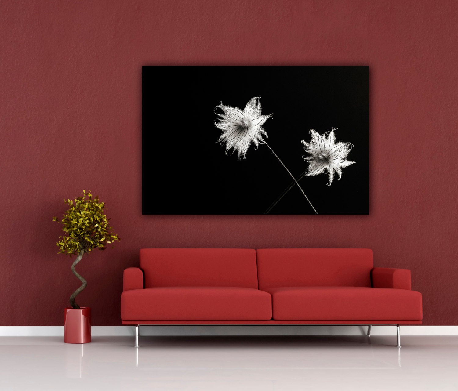 Modern Minimalist Still Life Photograph Black & White Nature