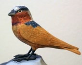 Woodcarved Swift Bird; Wood carved Swift Bird; Handcarved Swift Bird; Hand carved Swift Bird; Carved Swift Bird; Handcrafted Swift Bird Woodcarved Swift Bird; Wood carved Swift Bird; Handcarved Swift Bird; Hand carved Swift Bird; Carved Swift Bird; Handcrafted Swift Bird
