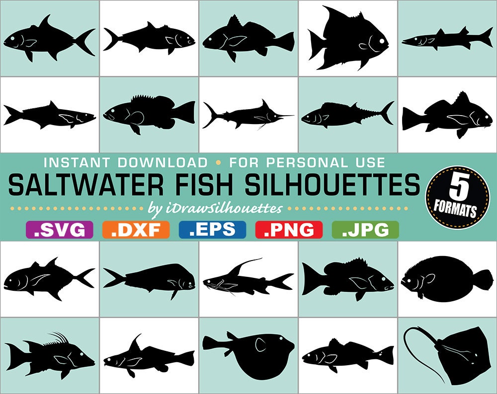 Download 65 Saltwater Fish Clip Art Images 5 Formats svg dxf jpg