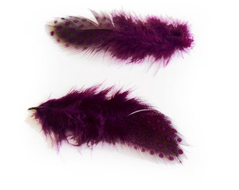Dyed Purple Guinea Hen Feathers 2-4.5" | 25 pcs.