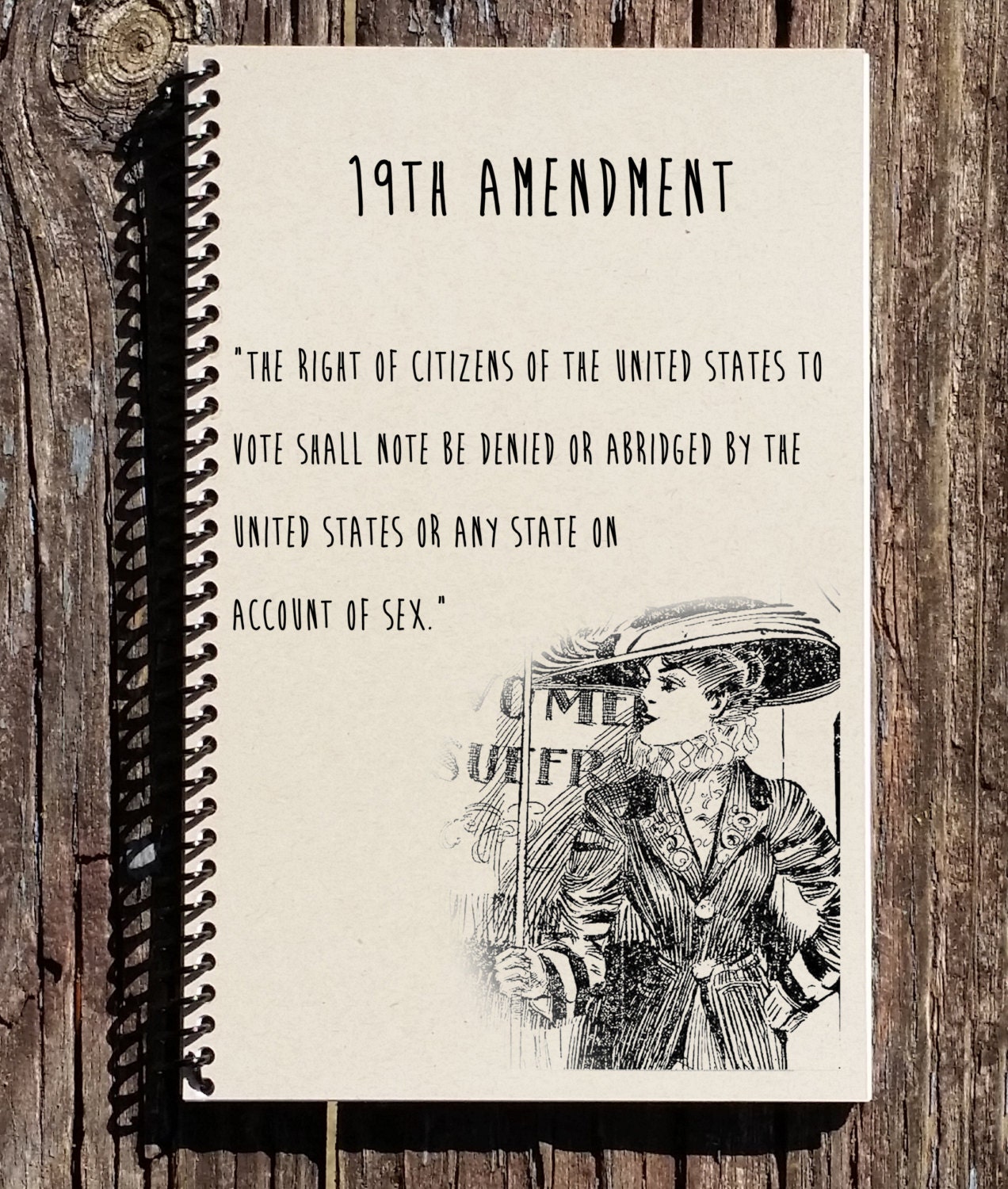 thesis of 19th amendment