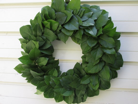 Fresh to Dry Salal 'lemon leaf' Wreath 20 for