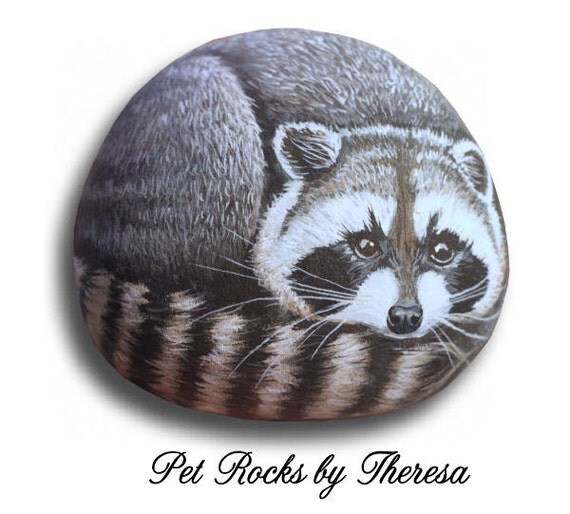 Items similar to Hand Painted Raccoon on Smooth Beach Stone Original ...