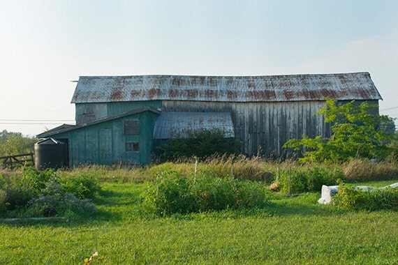 QYDJ-cubits-farm