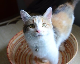 Cuddly cat snuggle bed - sunshine bright yellow and orange