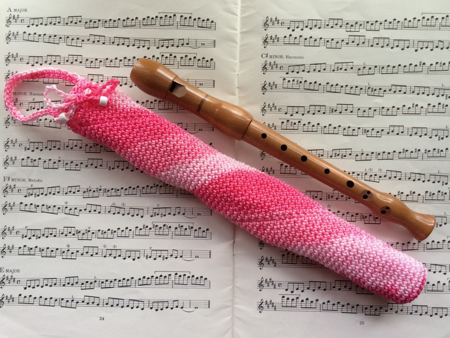 Recorder Bag Music gift Music teacher gift Pink Recorder