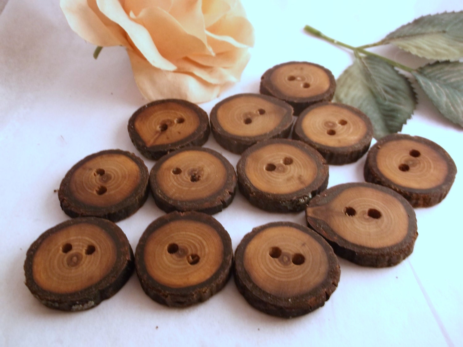 12 Rustic Wood Buttons with Bark Black Walnut by TheHickoryTree