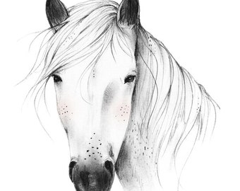 Wild Horse - 8X10, 11X14 Art Print