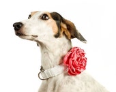 FLASH BOGO SALE Wedding Dog Collar Flower - Coral Satin
