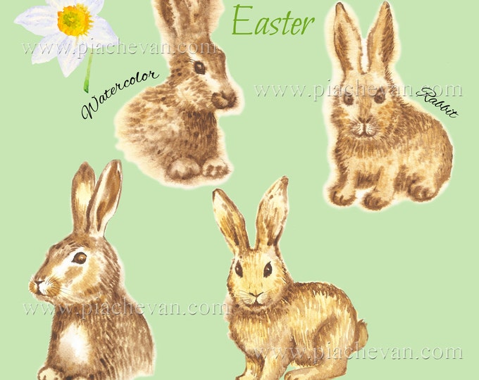 Digital Clipart with Easter Rabbits, watercolor clipart spring, painting, Scrapbooking, clipart, eggs, grass, animal, egg,