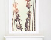 Santa Monica Palm Trees // Large Art Print // Los Angeles Photography Print for Modern Decor // Retro Golden Yellow Oversized Print